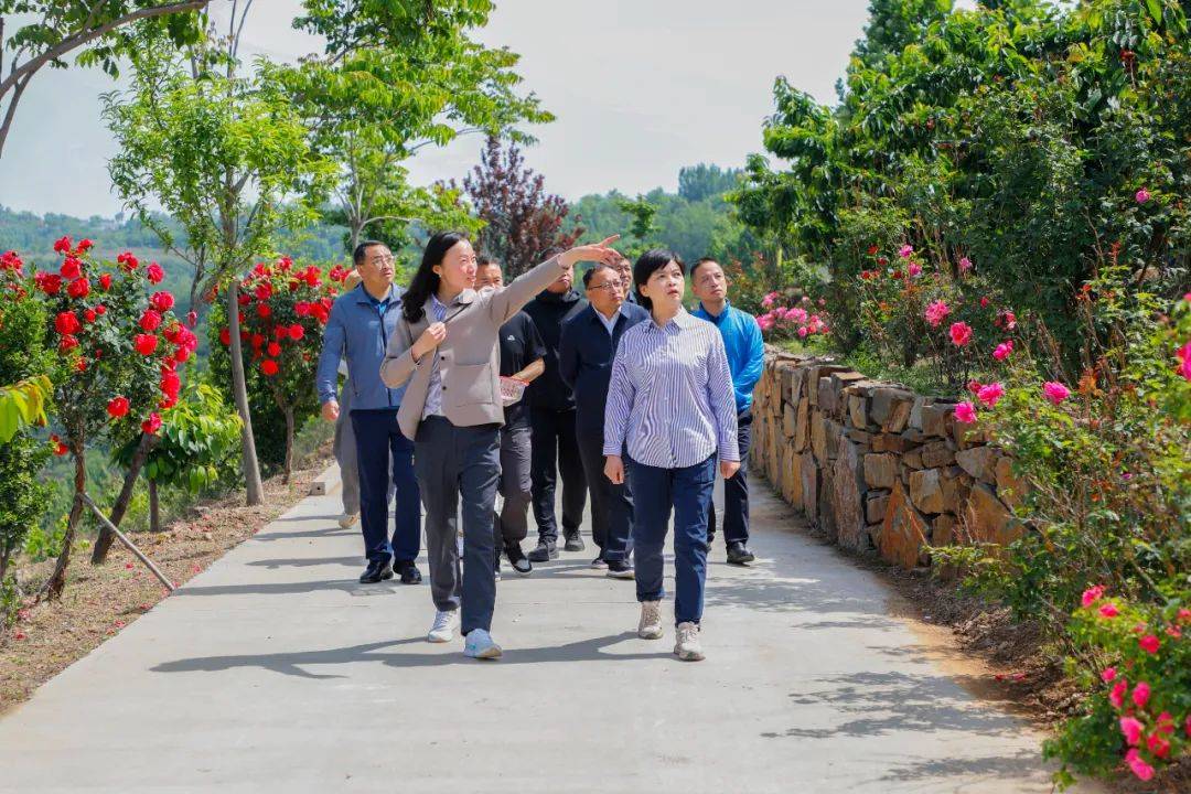 泽州县县长武小雅在晋庙铺镇专题调研大樱桃产业_发展_农业_山庄
