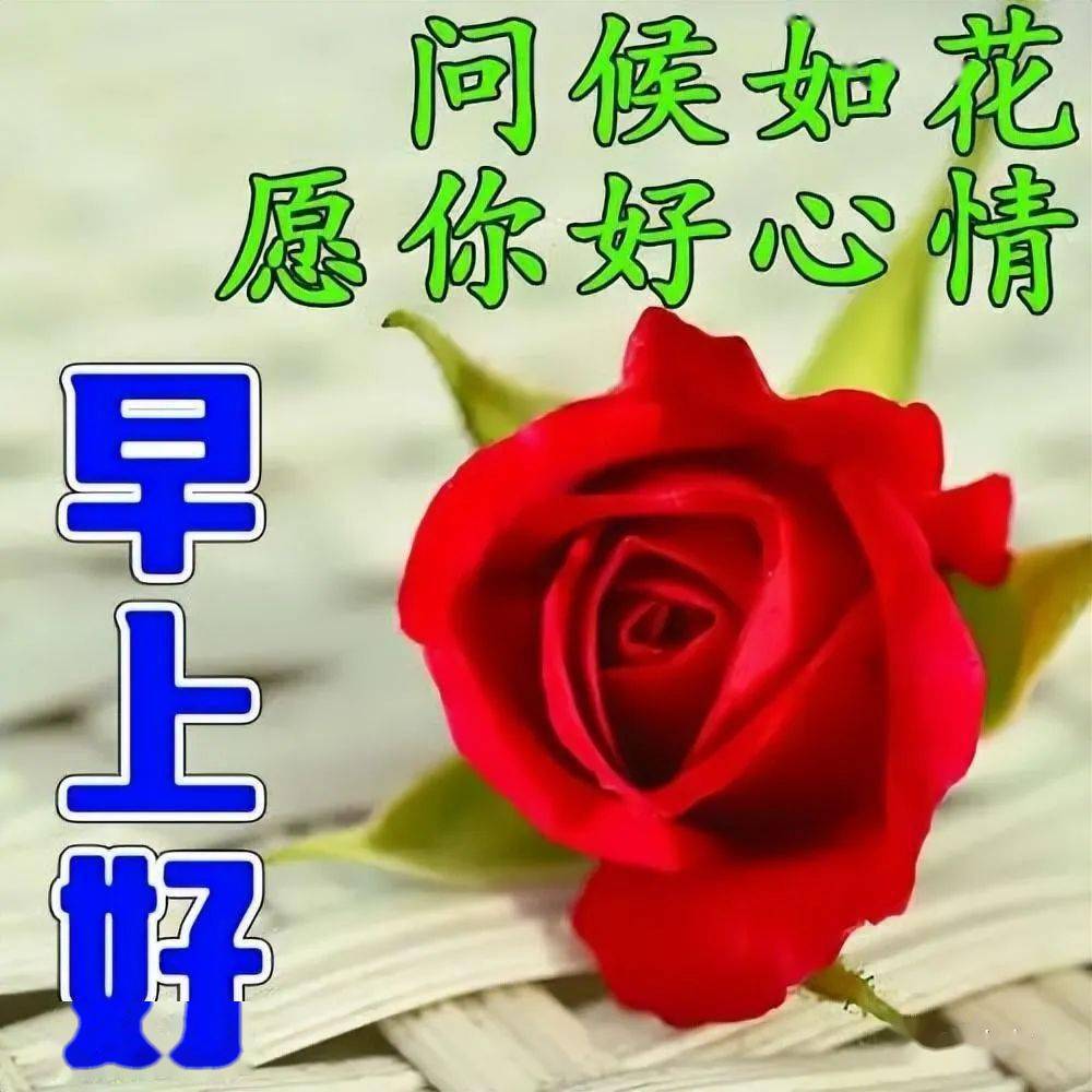 今日最新版早上好图片大全,怀着快乐的心 ,寻找平安的路_祝福_晨光