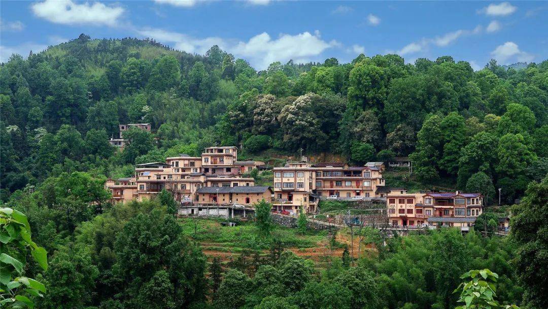 的组织宣传下,广西民族特色村寨——河背村成为摄影爱好者的创作基地