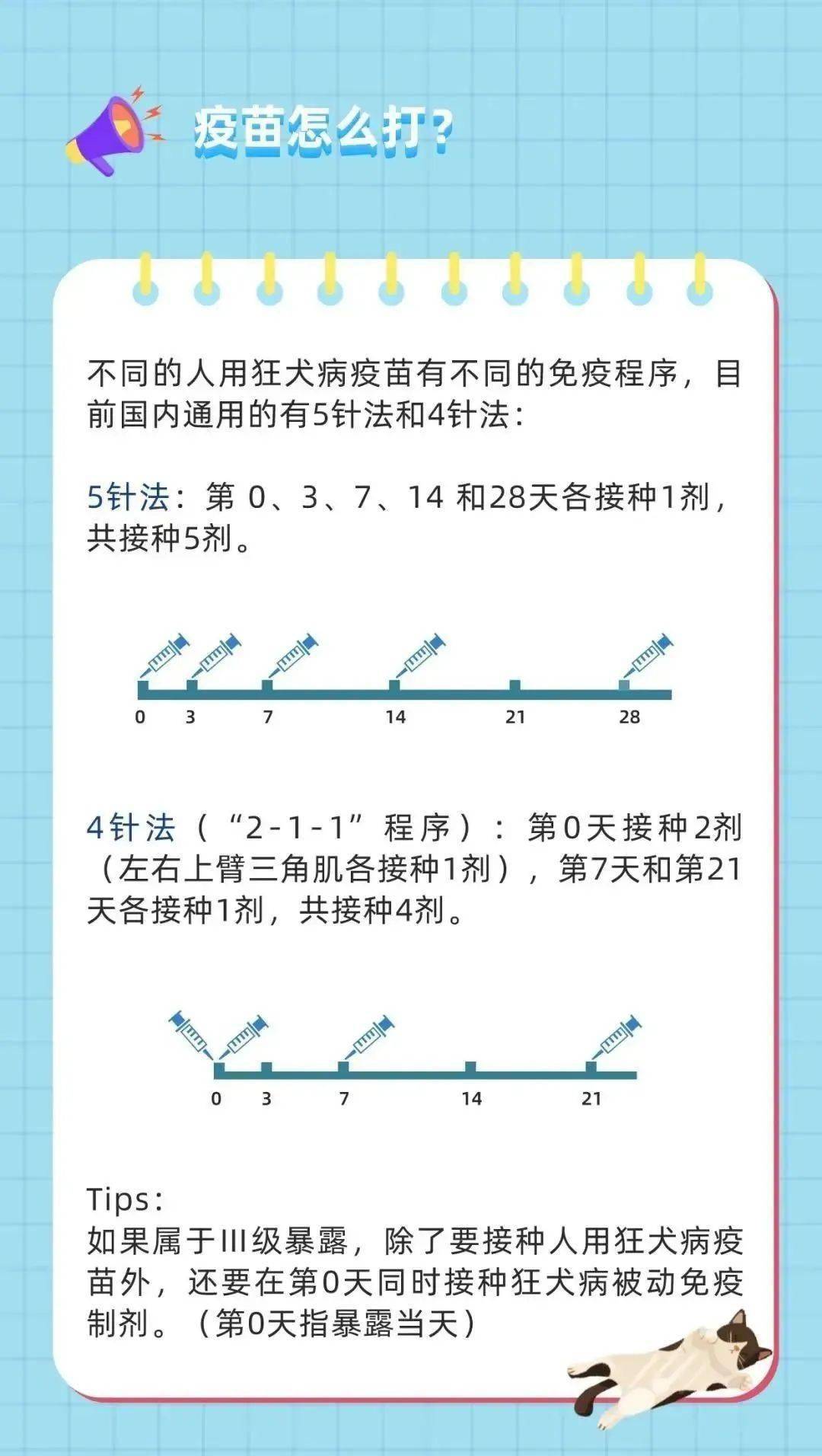 狂犬疫苗接种流程图图片