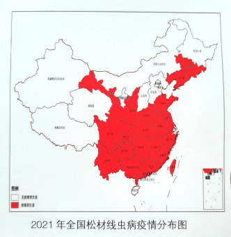 2021疫情地图图片图片