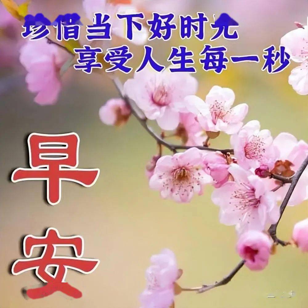 最新漂亮的早上好祝福图片,吉祥如意,平安是福_问候_朋友_人生