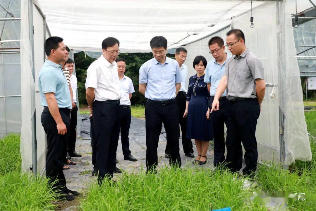 省政府副秘书长,省机关事务管理局党组书记,局长严佛元一行来我县调研