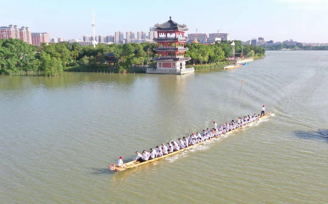 麻涌龙舟健儿起桡集训_训练_节奏_东莞