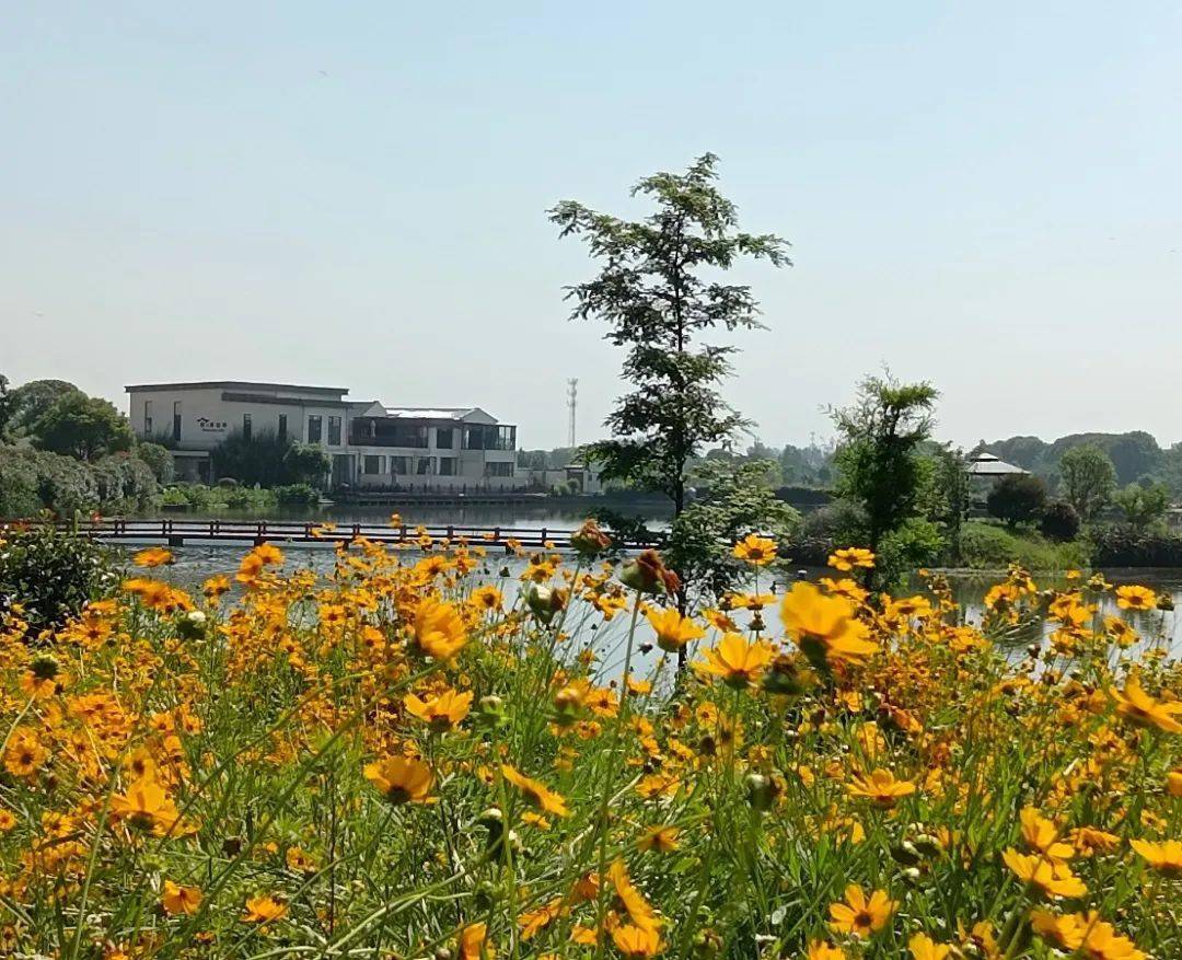 新增总投资约30万元;万新文体公园是在司徒镇杏虎村万新农庄的基础上