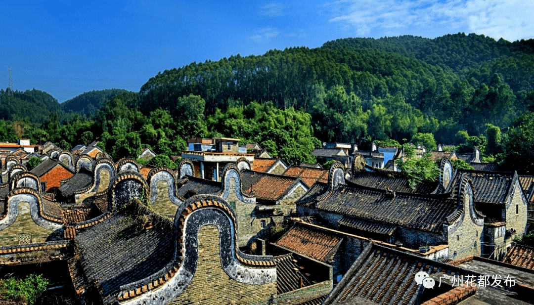 【花漾年华】⑥ 为花都乡村留住乡愁,让农民看见未来_蓝田村_种植