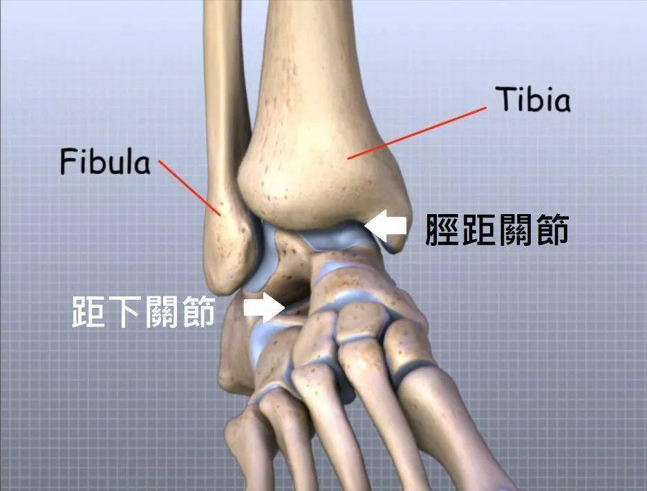 跟腱炎康复必不可少的高阻力慢速离心训练