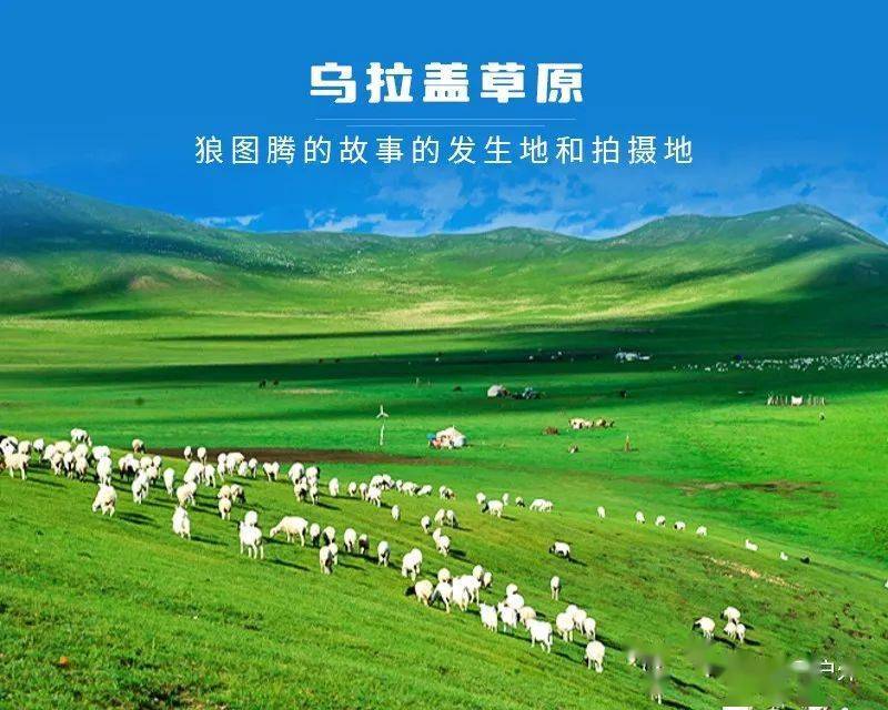 的故事的发生地和拍摄地-美丽的乌拉盖大草原_活动_布林泉_景区