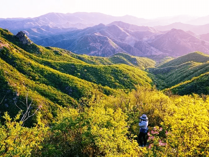 朝阳怎么读_朝阳_北京朝阳朝阳小区