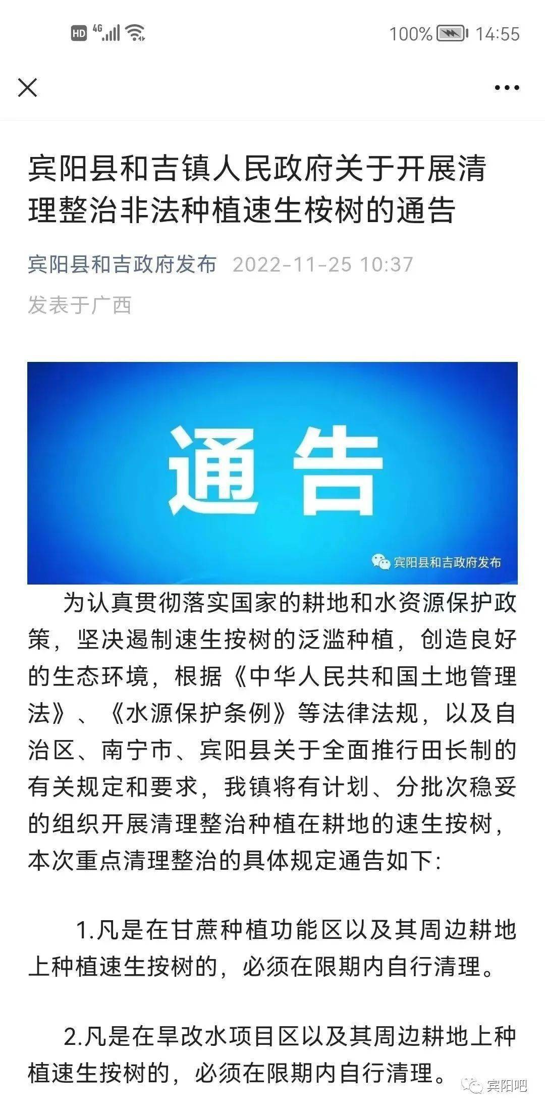 2022广西禁止种桉树图片