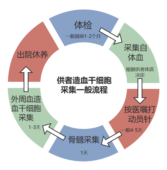 本文从造血干细胞供者采集前的准备,采集流程,骨髓采集过程及要求