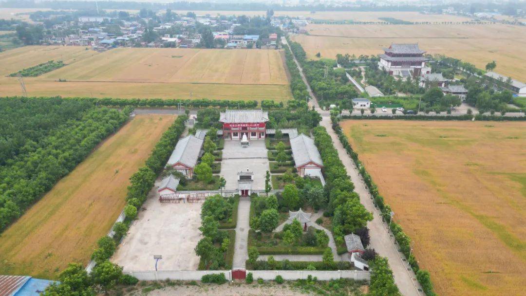 豫见好丰景 |"居易故里"探麦收_新郑市_作业_小麦