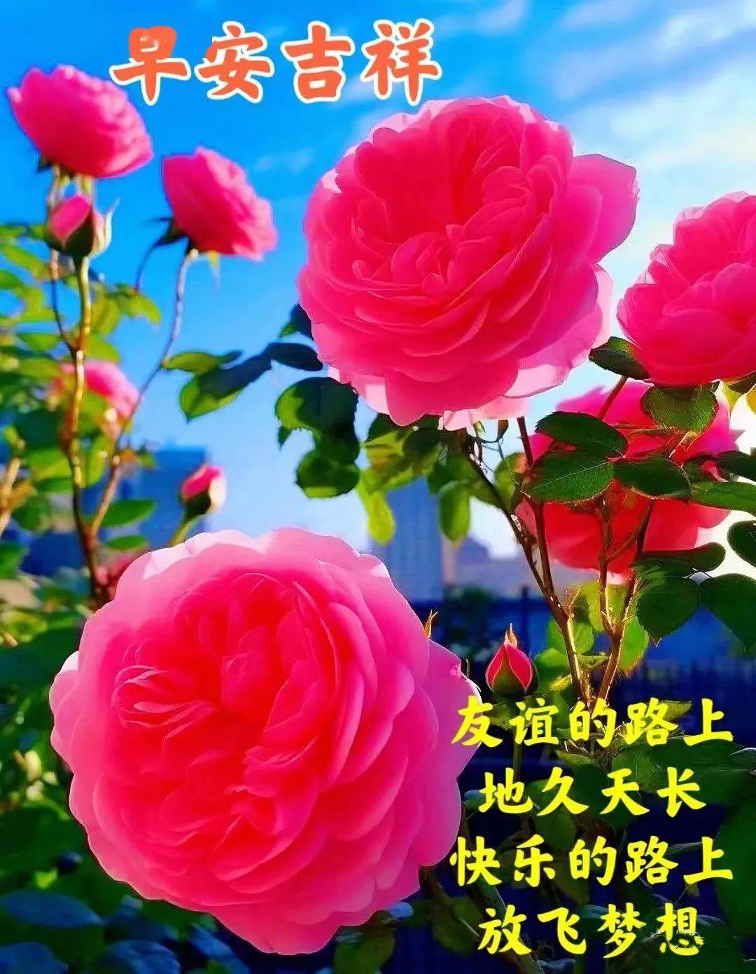 早安馨语:祝您福惠平安,健康好运,吉祥如意!_生活_心态_友情