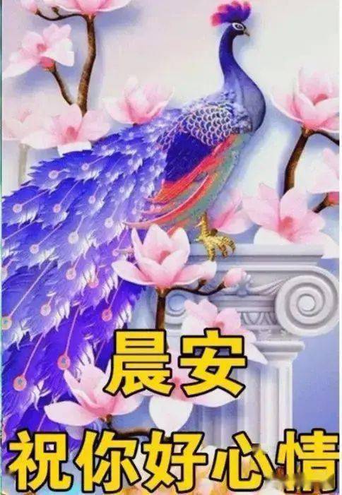 早上好问候语温馨短句，清晨问候早上好的短句子（早晨好的问候句子暖心）