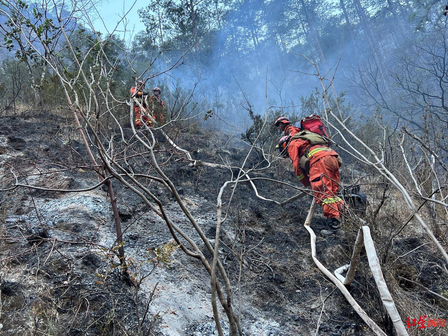 四川省森林消防总队出动422人扑救木里森林火灾,受大风天气影响已全部