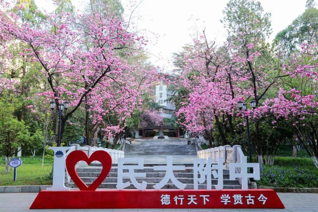 云南民族大学附属高级中学2023年在职骨干教师招聘公告_教育_求职