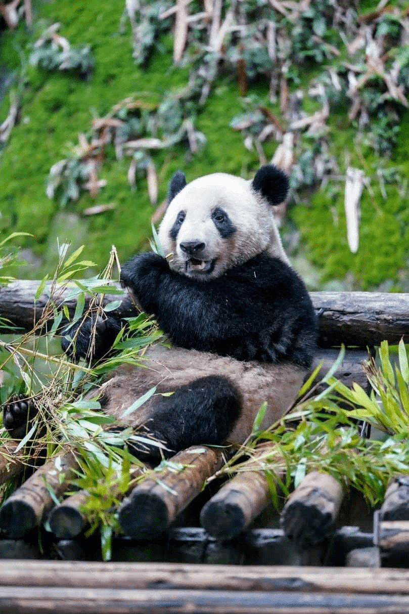 赵国淦_活动_摄影