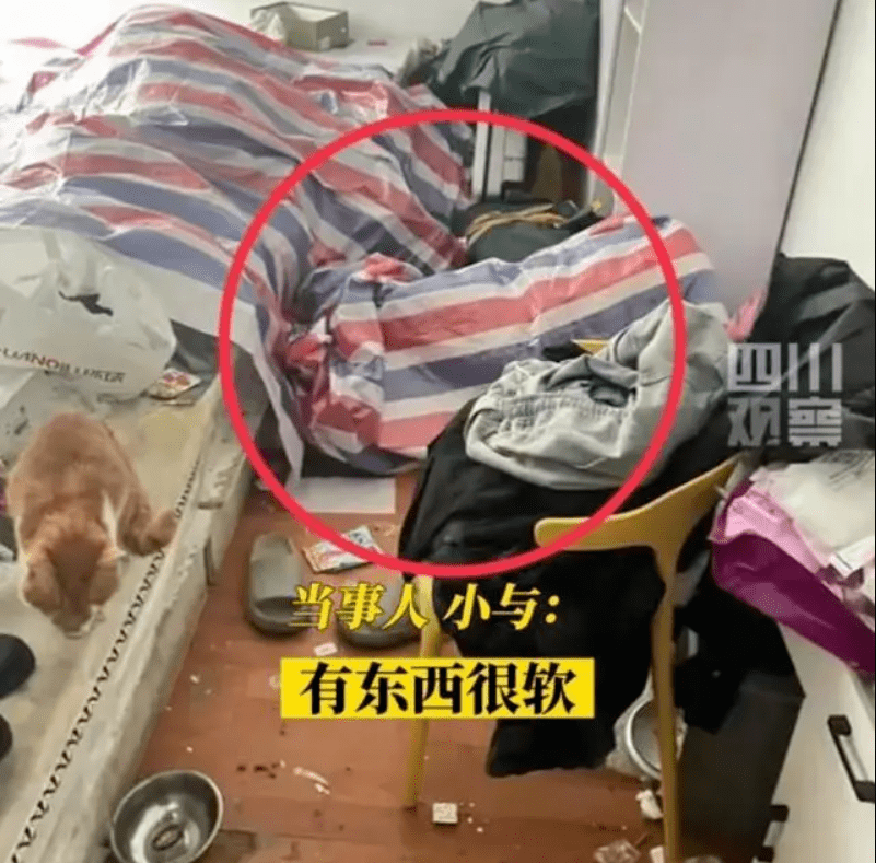 口语264期丨女生上门喂猫遇“恋踩癖”，全裸藏麻袋中享受被踩？