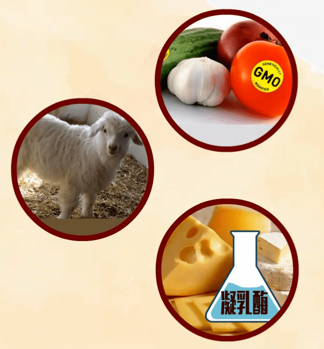 微生物转基因食品32动物性转基因食品植物性转基因食品1根据转基因