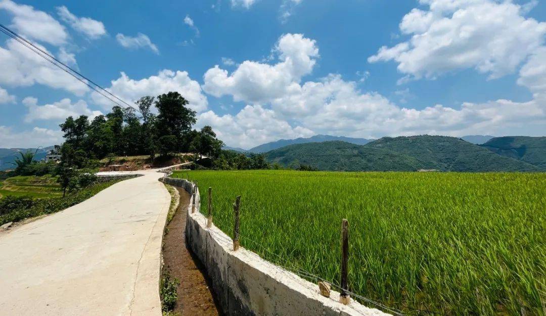 洛恩乡:稻渔共作,稻花香里有"钱景"_鱼苗_方式_彩云