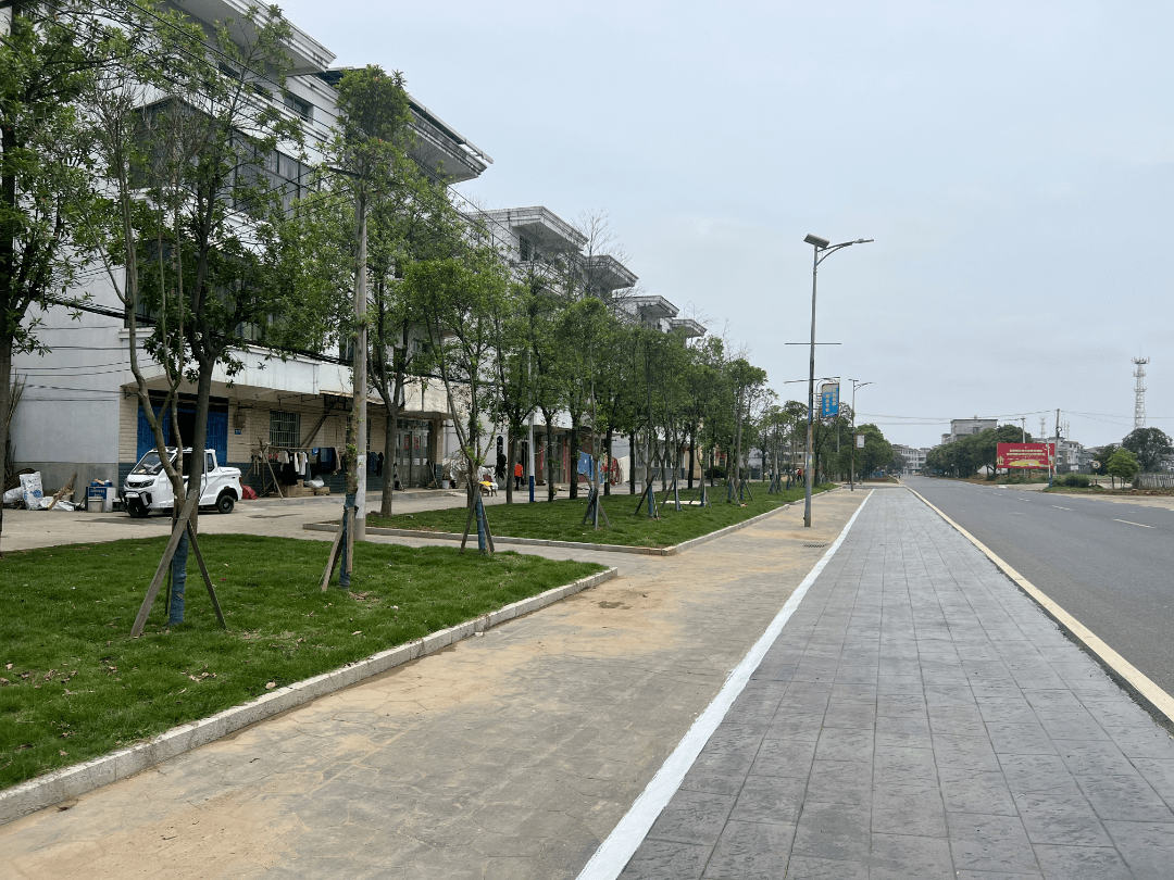 【美丽姚圩】姚圩镇这条大道绿化改造升级了_道路_红叶_路段