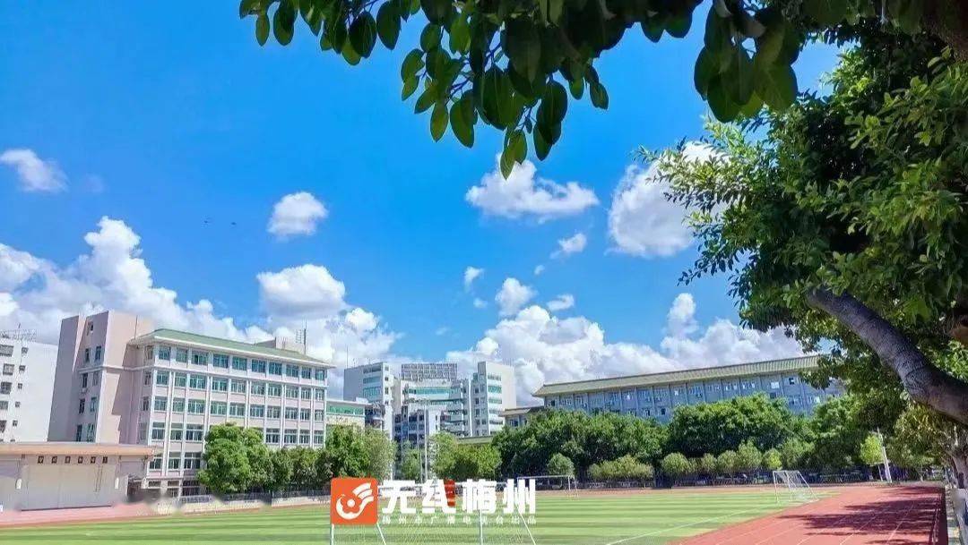 梅州市曾宪梓中学初中部招生,派位范围明确!_育才小学_计划_市民