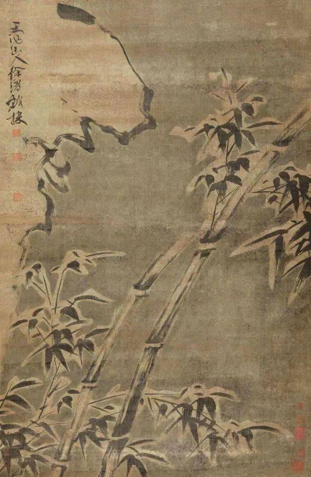 徐渭写竹，狂放不羁，墨气淋漓_水仙_竹子_竹卷