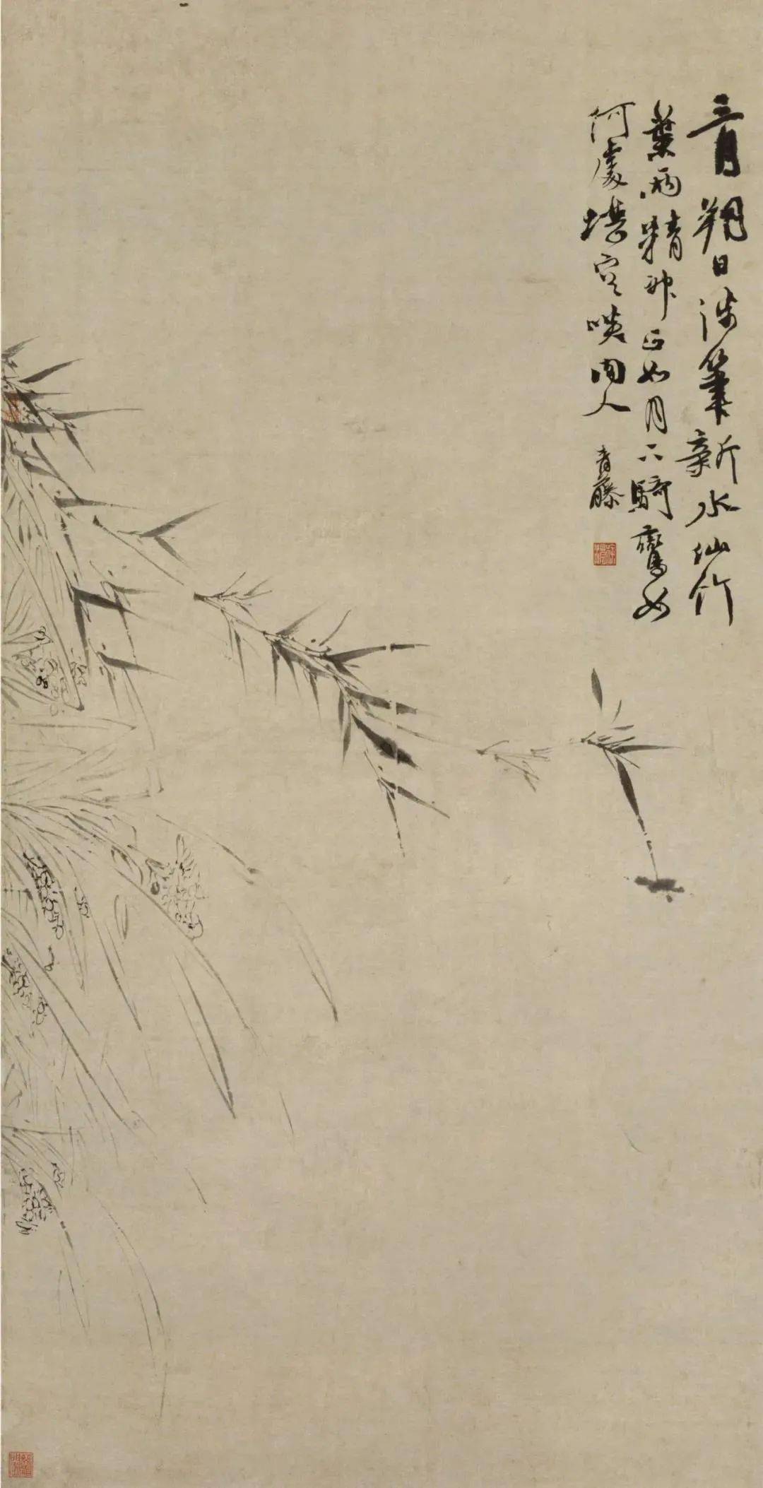 徐渭写竹，狂放不羁，墨气淋漓_水仙_竹子_竹卷