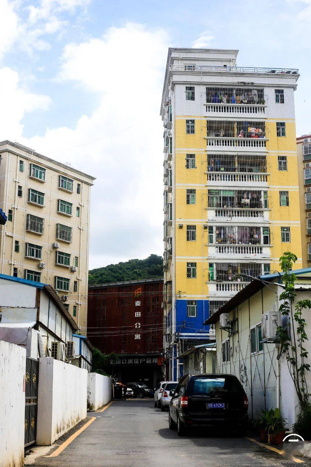 再见了,白芒村!_生活_深圳_村子