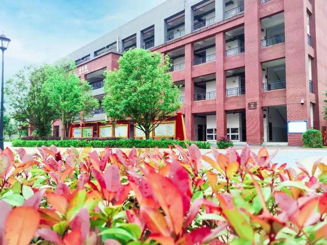 从具体内涵所形成的的办学优势来解读,明雅学校具有好学校的四大核心