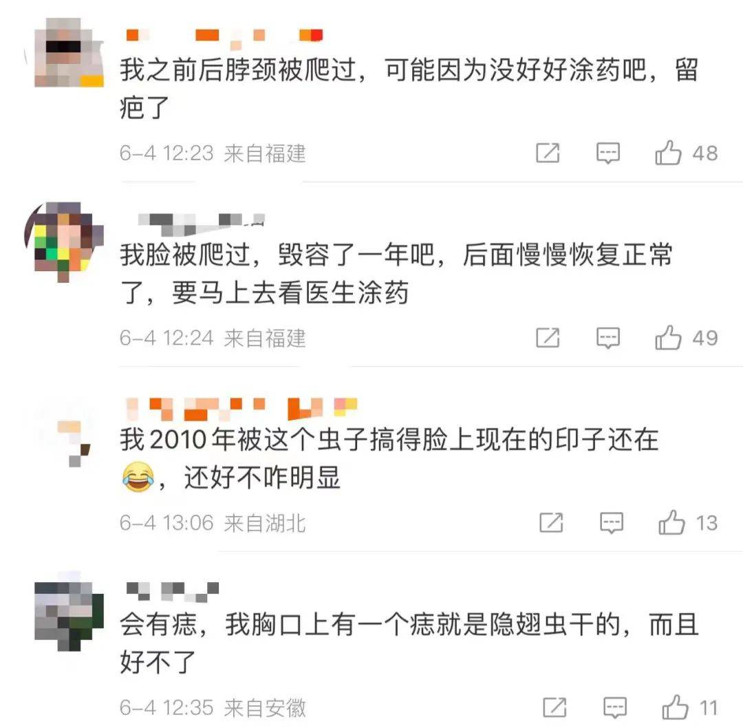 遇到这种虫子别打 有人差点毁容 正确的驱赶方式