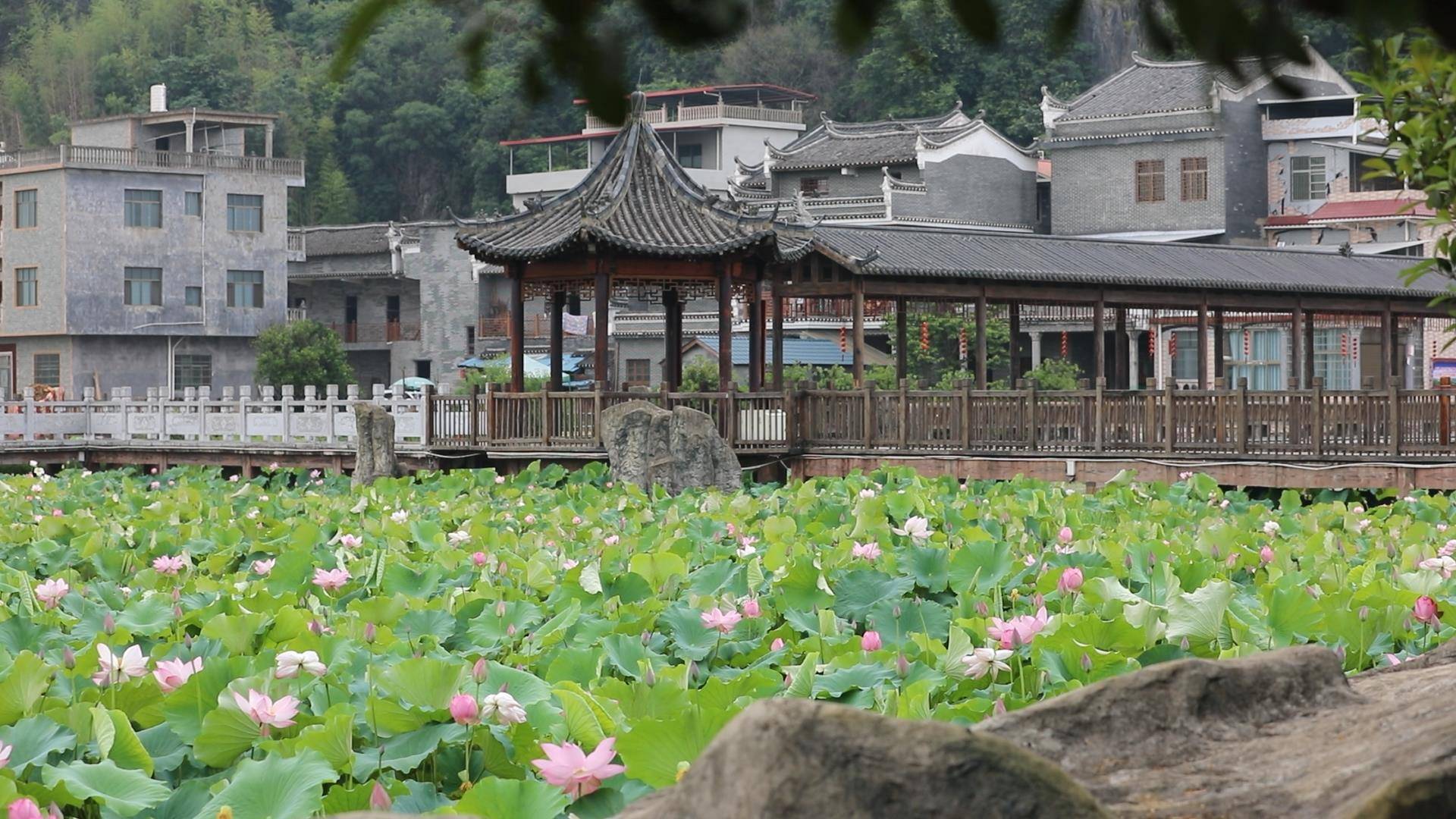 道县旅游（道县旅游攻略）《道县旅游景点攻略介绍》