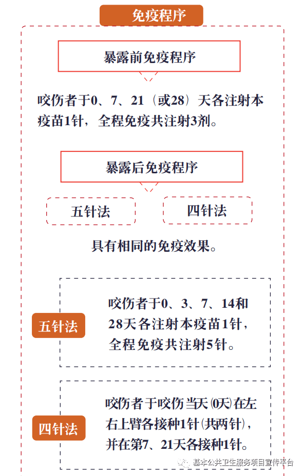 健康科普 | 狂犬疫苗——你想要知道的这里都有_接种_程序_动物