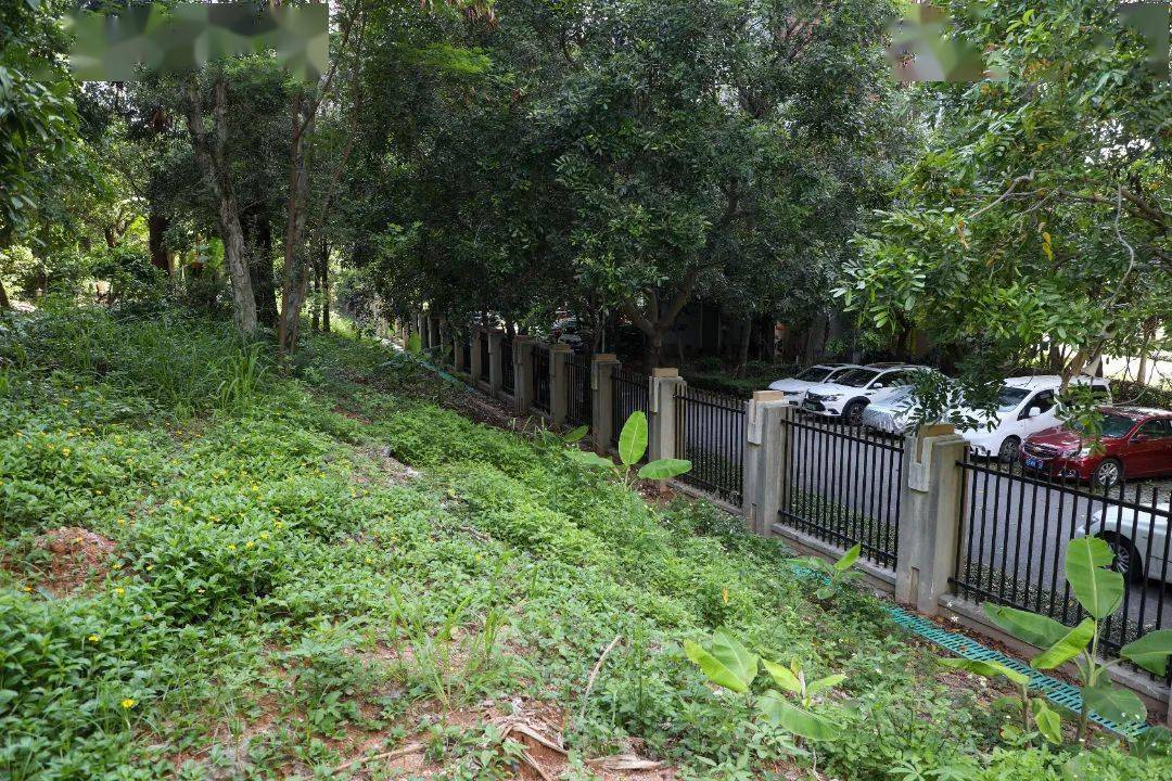 南山有了铁路文化公园!_一社区_居民_休闲