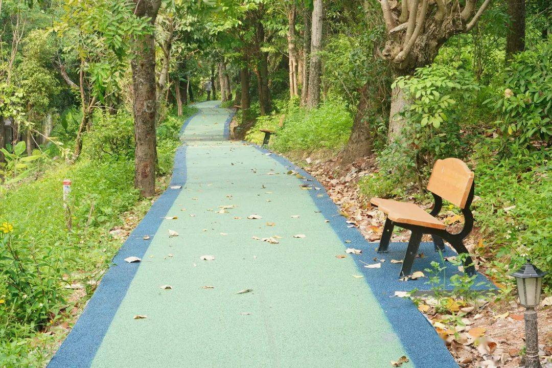 南山有了铁路文化公园!_一社区_居民_休闲