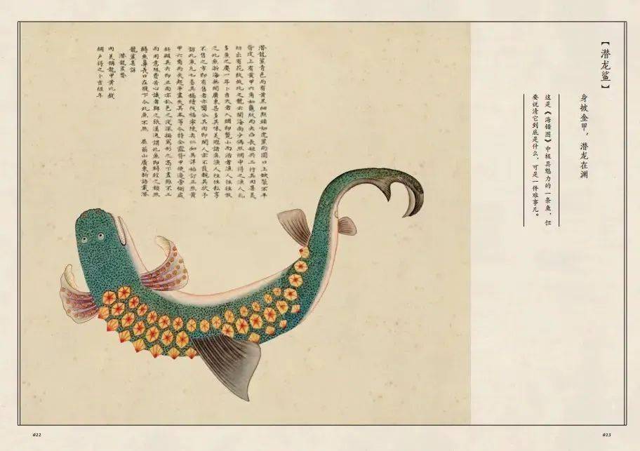 为什么一只螃蟹背上长着鬼脸?狐主任说有图有真相