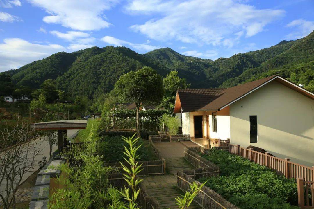 大余丫山年中福利即将冰爽来袭