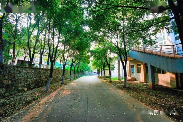 权威发布 | 中南民族大学2023年全日制普通本预科招生章程_专业_工作