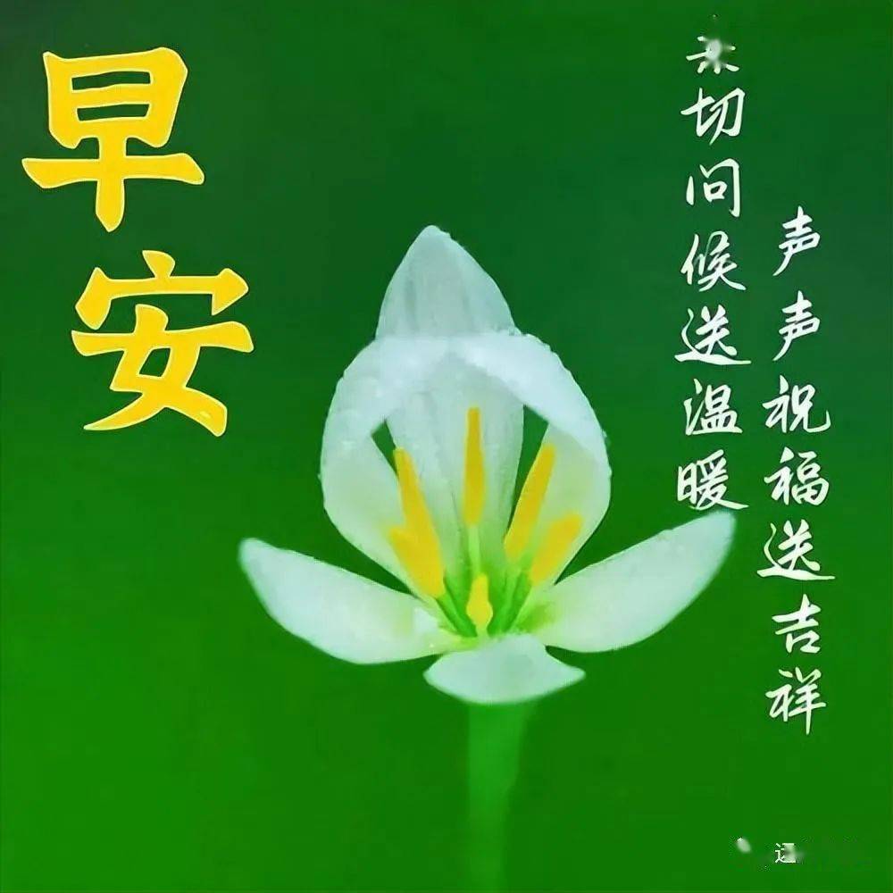 早上好图片漂亮祝福