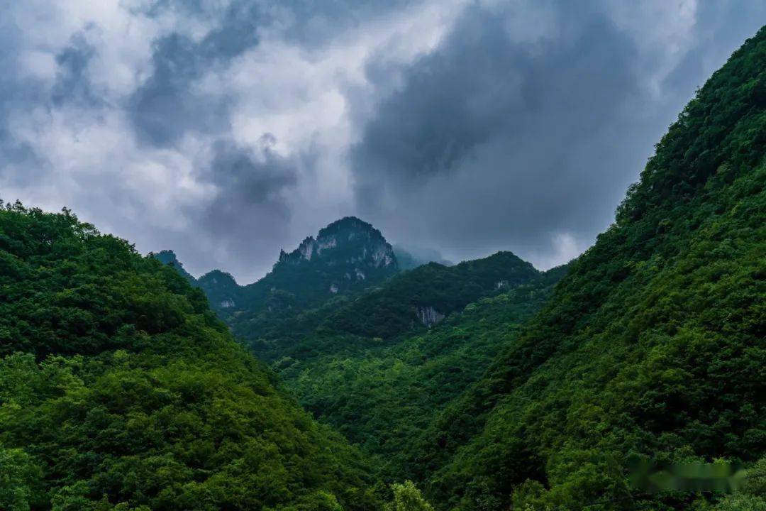 组图|高山花舞九鼎沟_smx_赤土店镇_三门峡