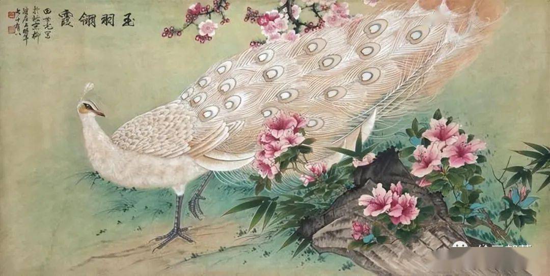 田世光国画孔雀欣赏,他曾拜师齐白石,功力深厚!_花鸟_工笔_先生