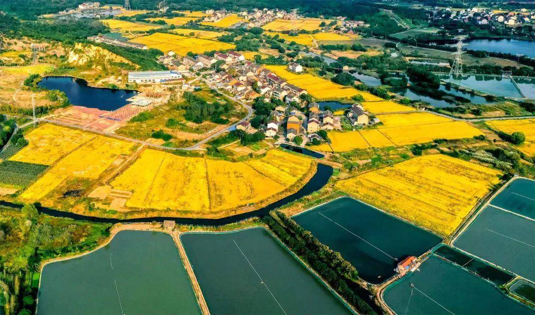 郑陆镇高标准农田项目市政府秘书长周承涛,天宁区区长张凯奇,副区长