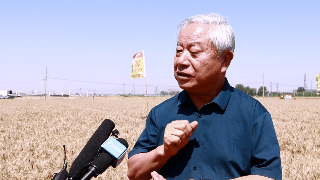 宝景农业总经理高宏伟表示,宝景公司将诚信履约,合法经营,不哄抬价格