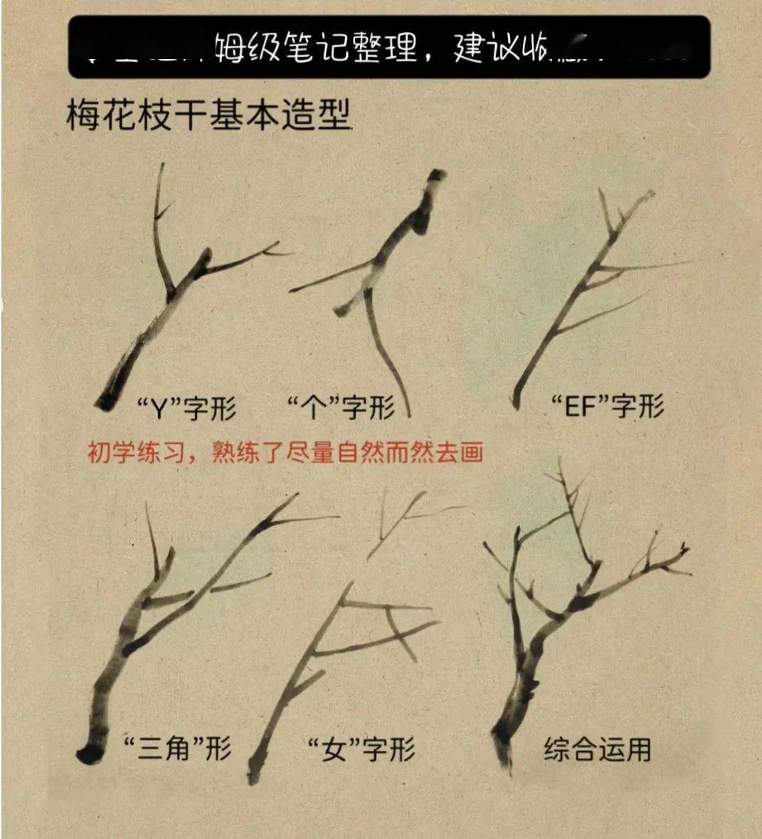 干枝梅画法图片