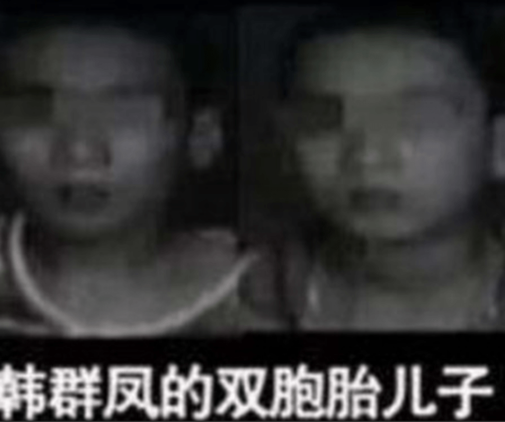 东莞母亲杀死双胞胎儿子,上千人为她求情,丈夫表示:"她没错"_韩群凤