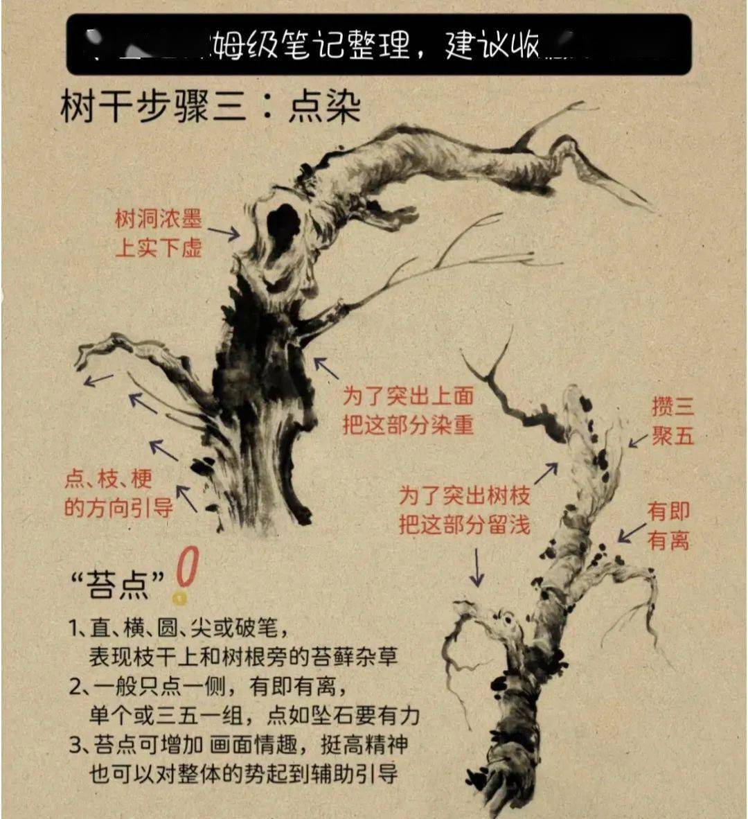 干枝梅画法图片