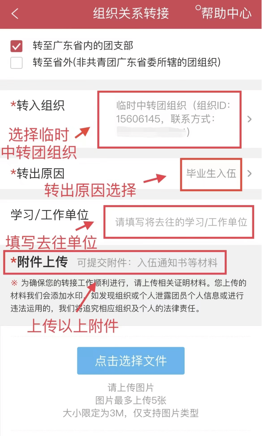 团员身份证明图片