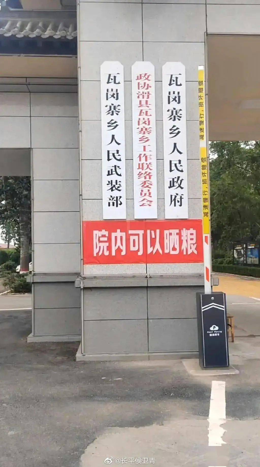 河南省安阳市滑县瓦岗寨乡:政府院内可晒粮_万古镇_老店镇_小麦