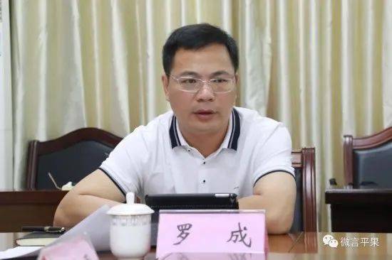平果市委书记罗成接受审查调查!_广西_百色_工作