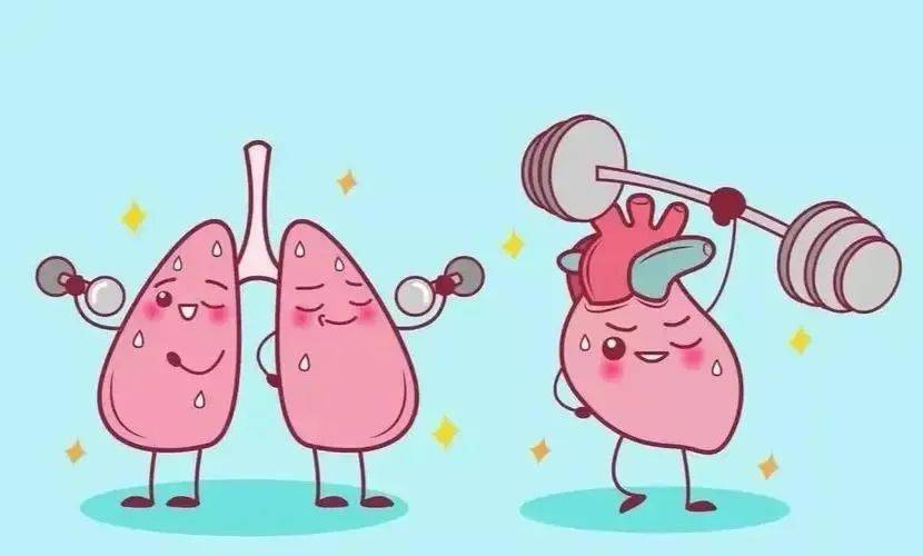 那就跟着游泳教练锻炼心肺功能吧!_运动_心脏_能力